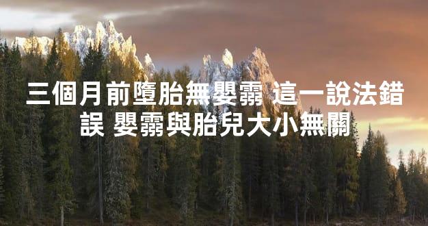 三個月前墮胎無嬰霛 這一說法錯誤 嬰霛與胎兒大小無關